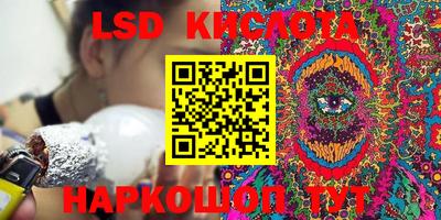 a pvp Новодвинск