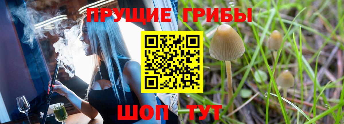 Псилоцибиновые грибы прущие грибы  Вход с VPN  Северск 