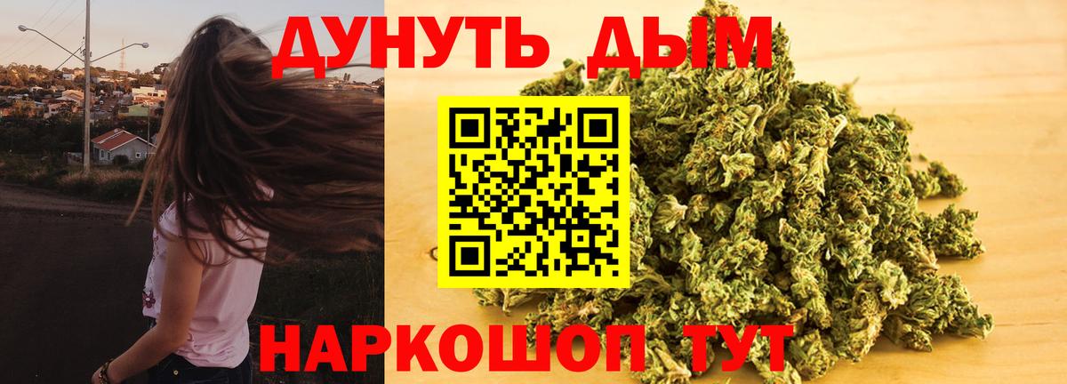 Конопля планчик Северск